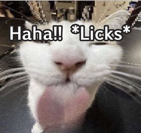 assonbetty|'Assonbetty licking' Search .
